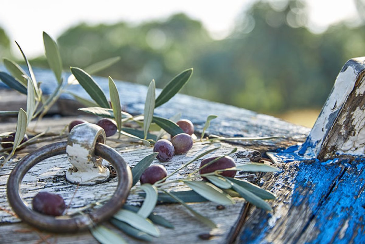 Olives et rameau sur bateau
