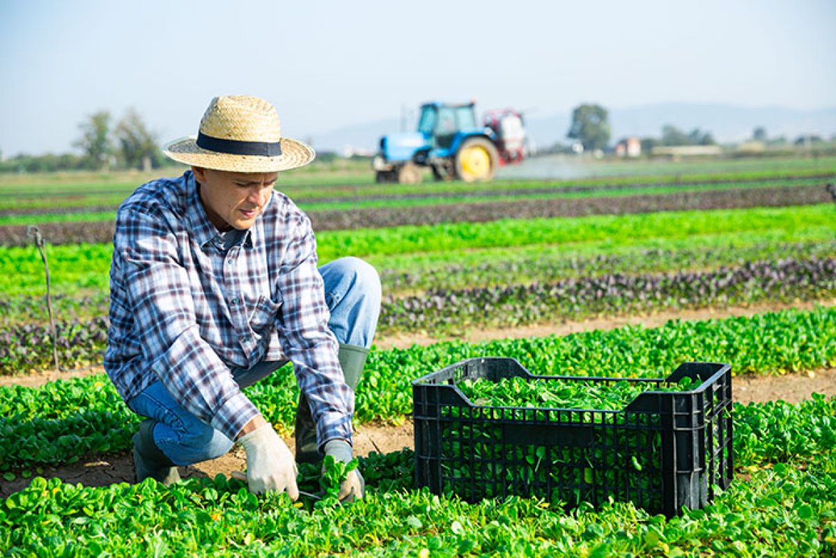 Agriculteur en action