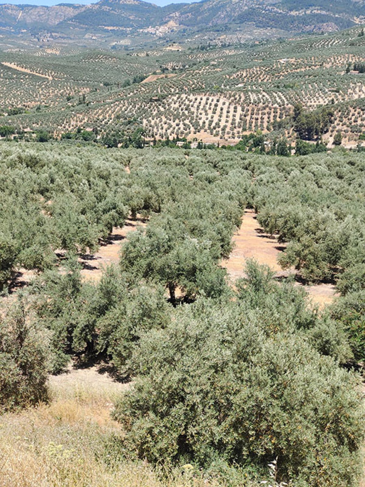 Espagne Cazorla