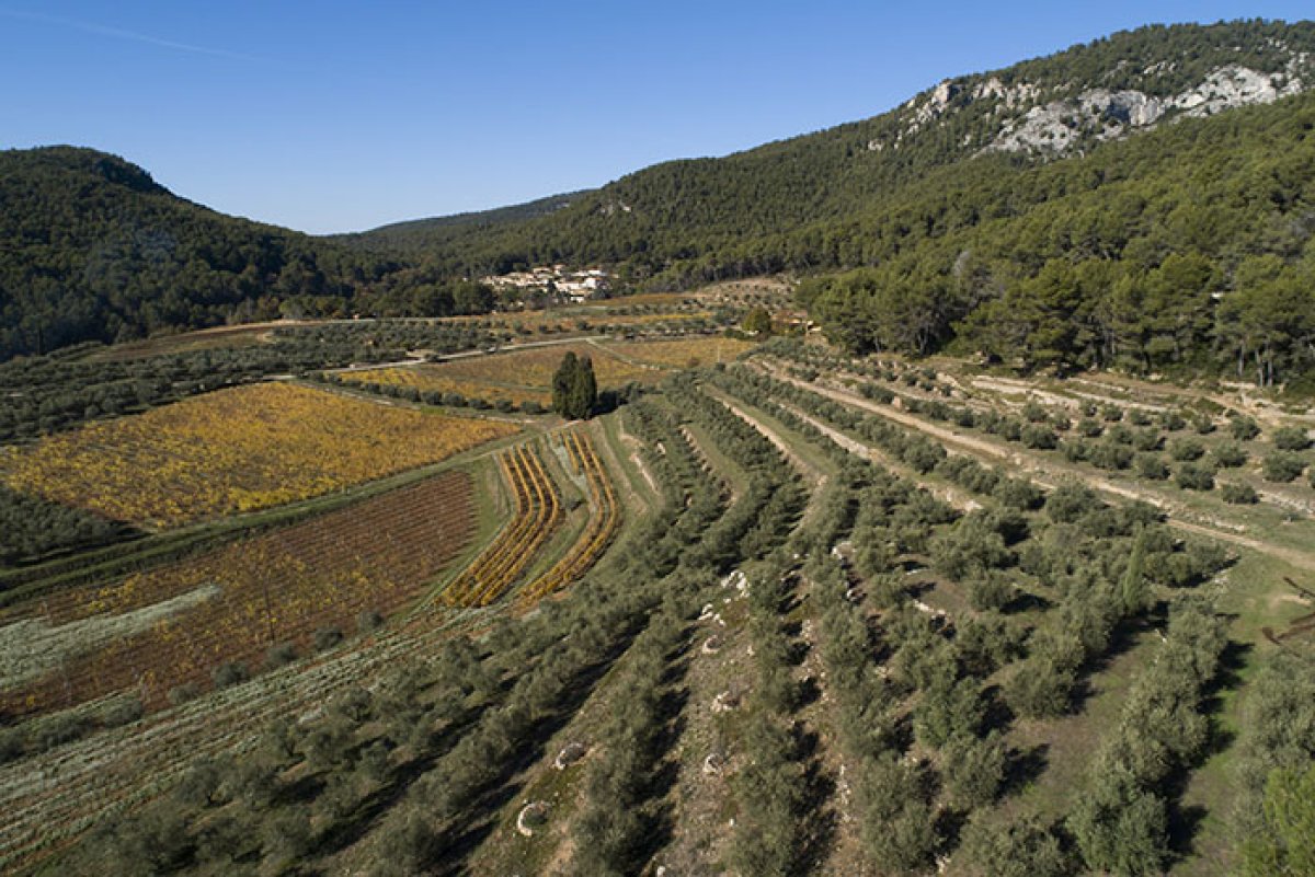 Terroir délimité