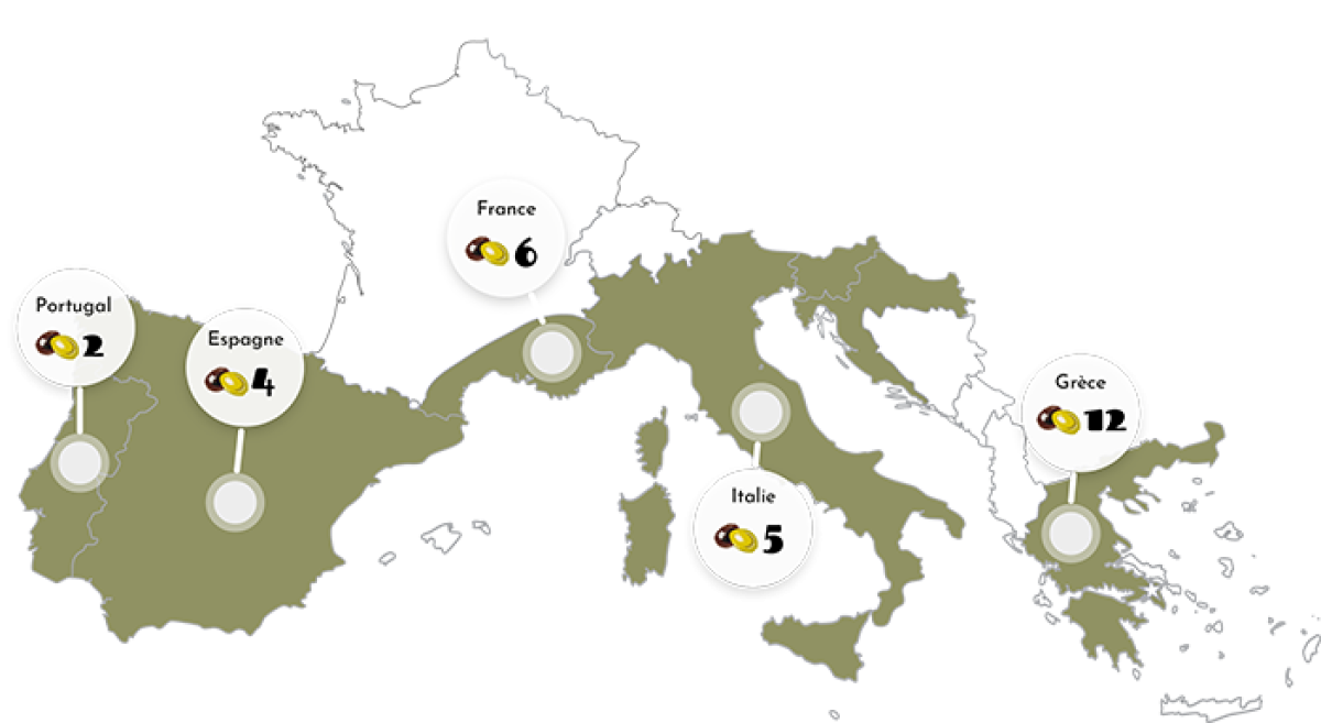 Carte Europe Olives de table AOP