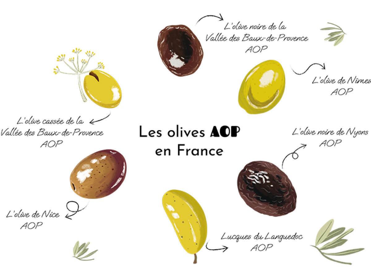 Olives AOP en France