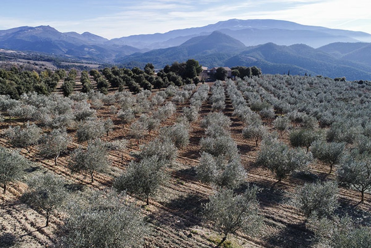 Alpes maritimes