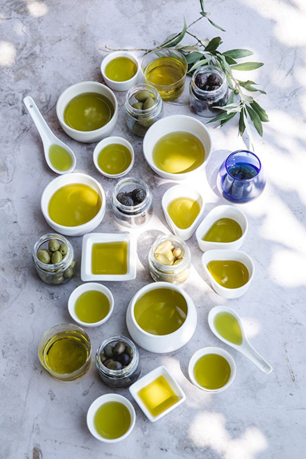 Ensemble d'huiles d'olive dans différents petits récipients