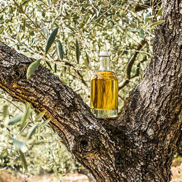Huile d'olive d'Aix-en-Provence AOP