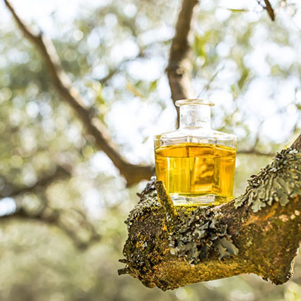 Huile d'olive de Provence - olives maturées AOP