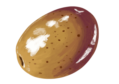 Olive_De_Nice_AOP-les-pieds-nus.png