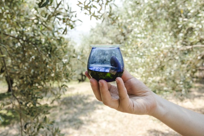 Déguster, savourer une huile d'olive AOP
